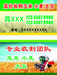 专业收割团队服务玉米小麦