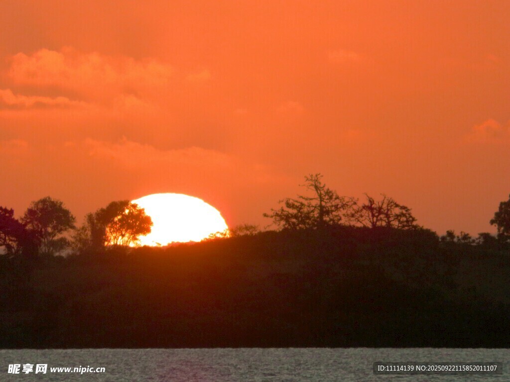 夕阳西下映树林