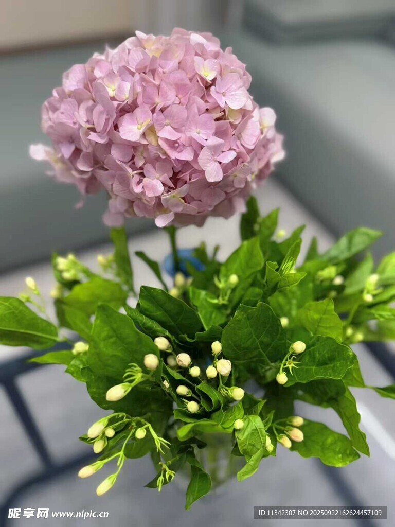 粉色绣与绿植组合