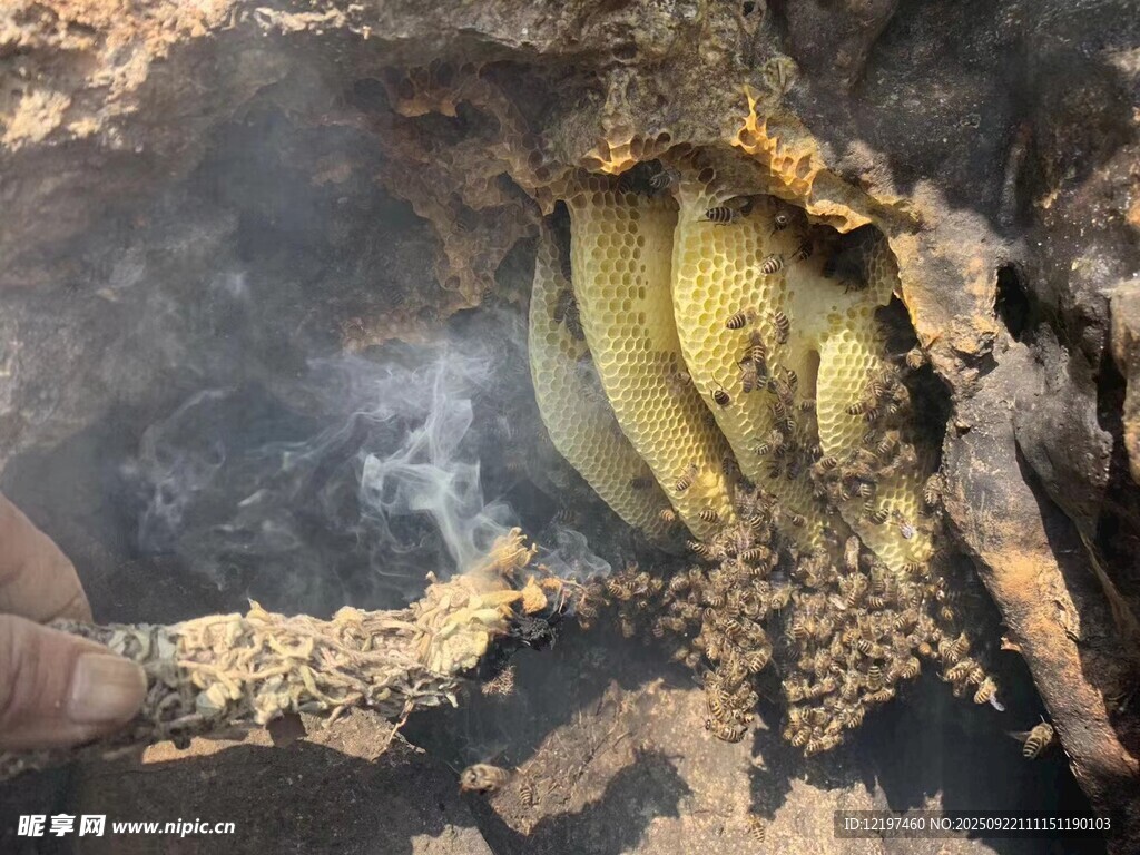 地下洞穴中的神秘黄色物体