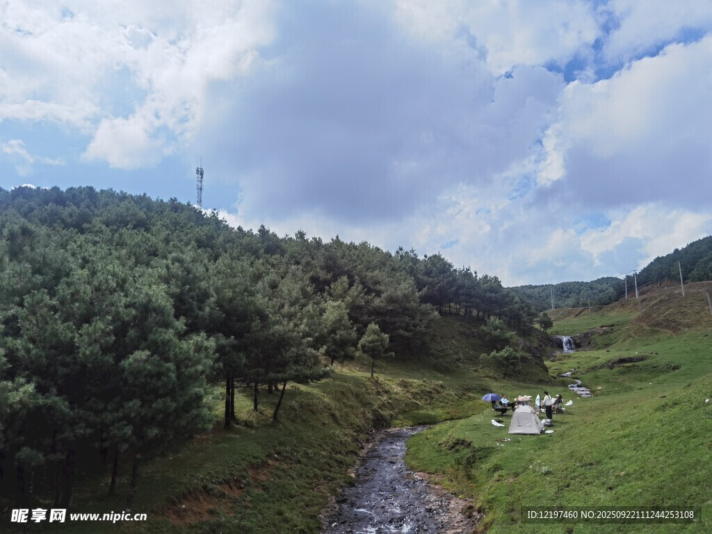 山间溪流旁的葱郁美景