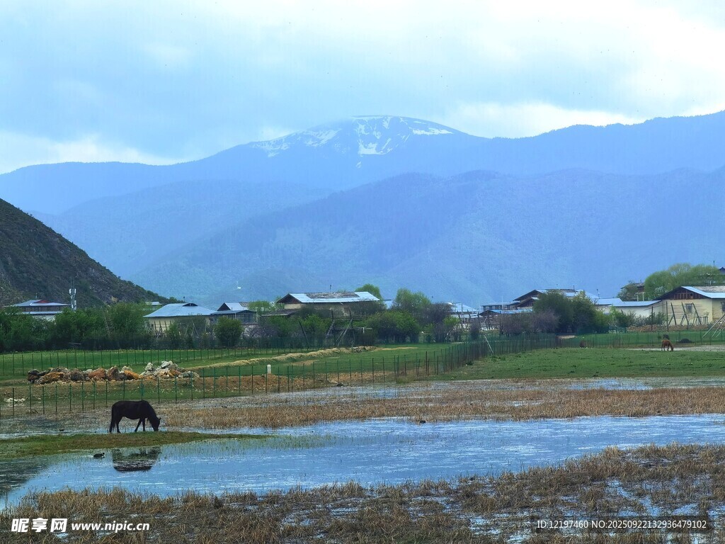 草原河畔骏马与远山美景