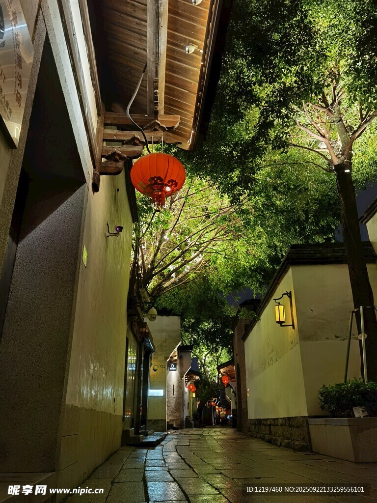 古巷夜景红灯笼映照绿意