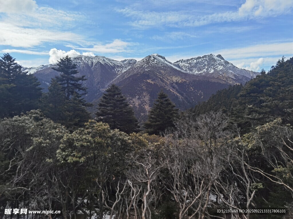 山间景色远处雪山与植被