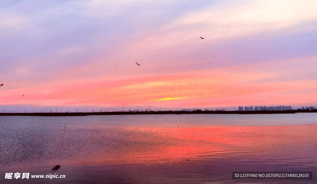 湖畔绚丽晚霞飞鸟美景