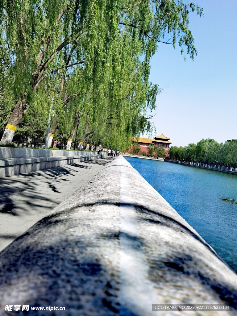 河畔垂柳静谧水岸风光