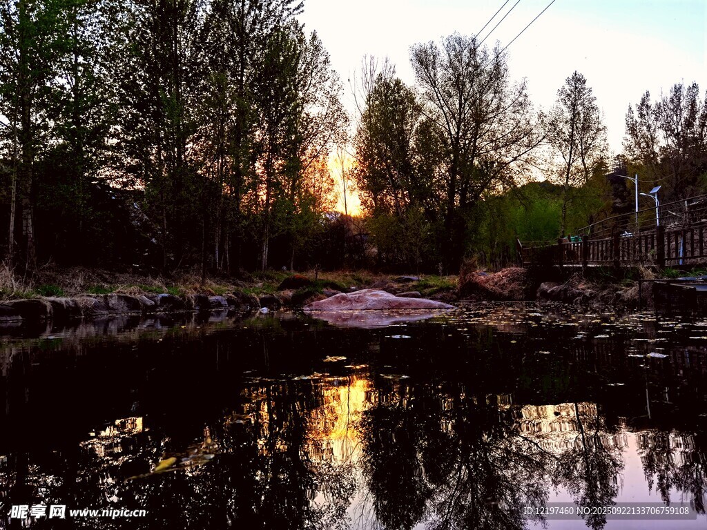 夕阳下静谧的河畔树林