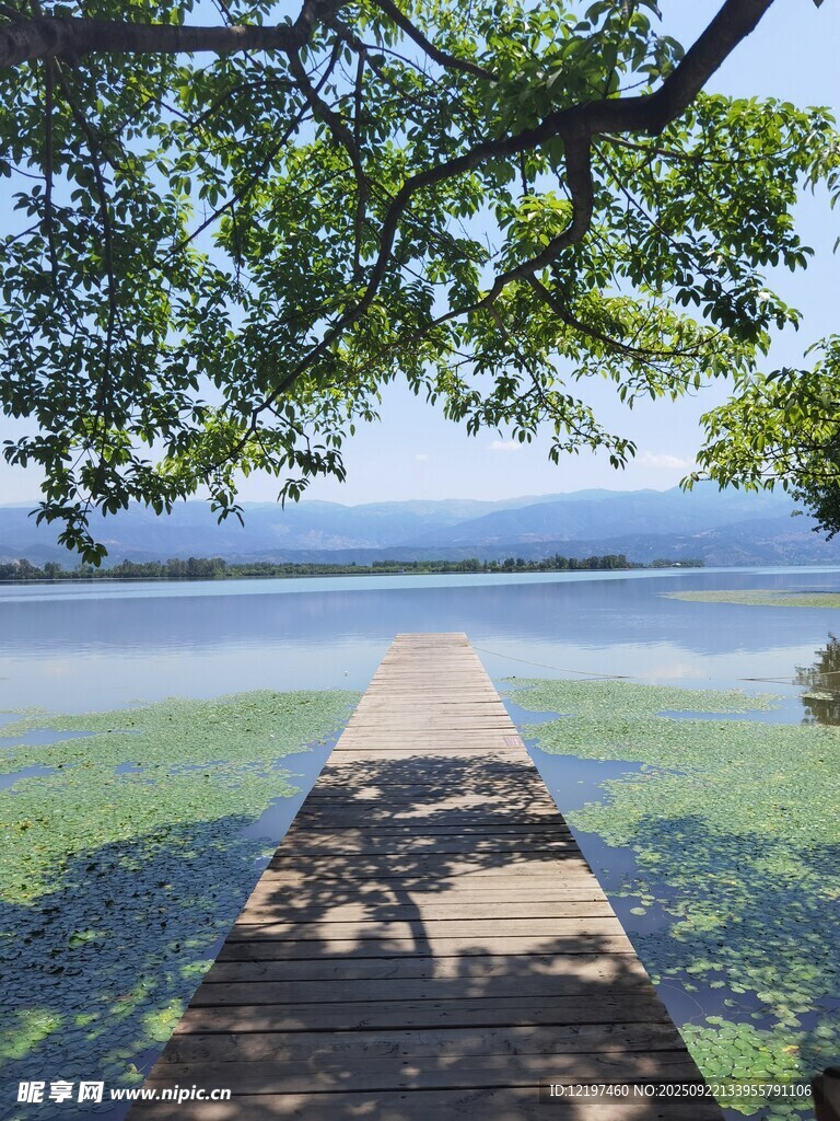 湖畔木栈道自然静谧之景