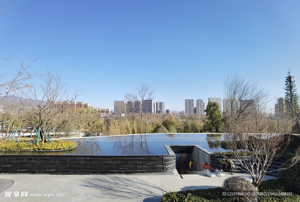 城市公园中的静谧景观