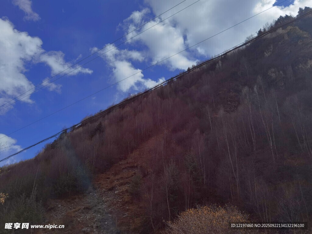 蓝天映衬下的多彩山坡