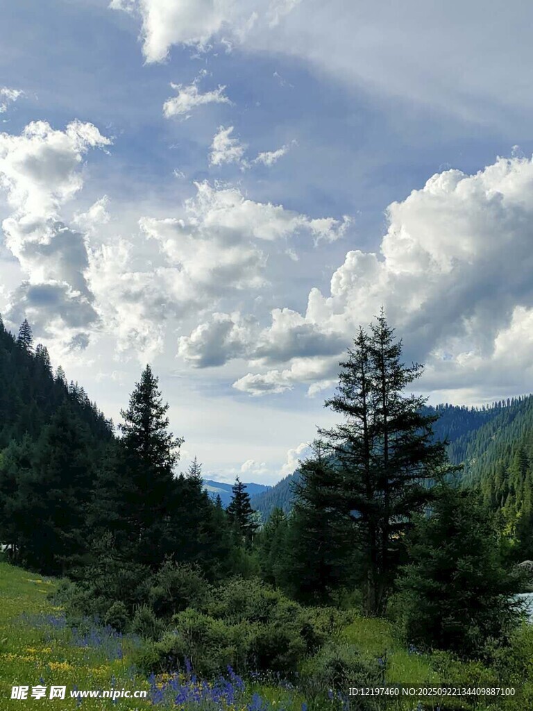 山间美景蓝天白云绿树