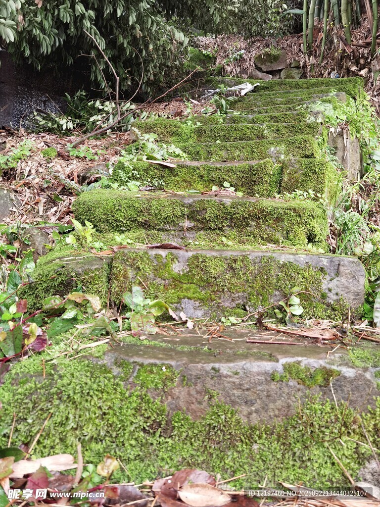 长满青苔的古朴石阶