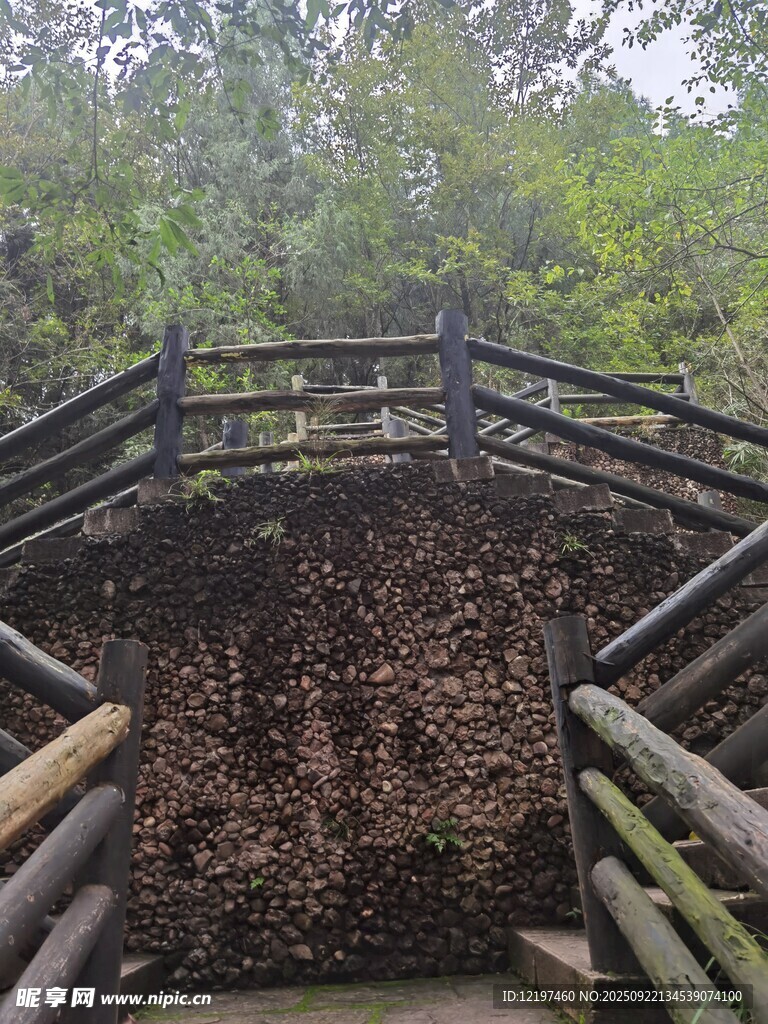 林间木桥自然静谧之景