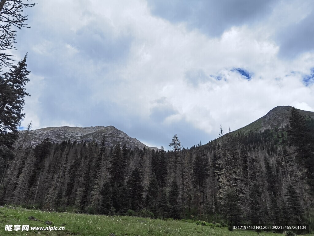 壮丽山景与葱郁草地