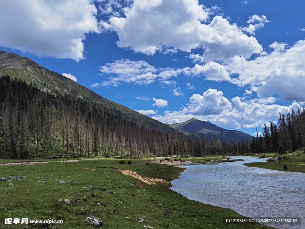 山间河畔美景