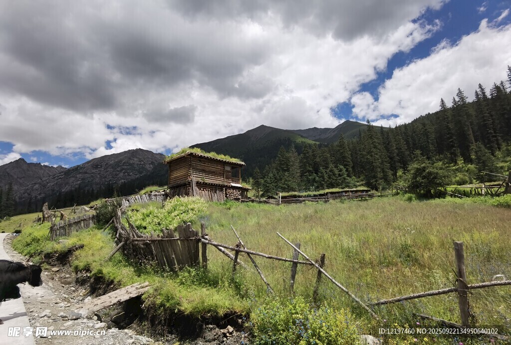 山间木屋旁的绿野风光