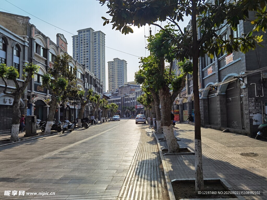 城市街道旁的静谧街景