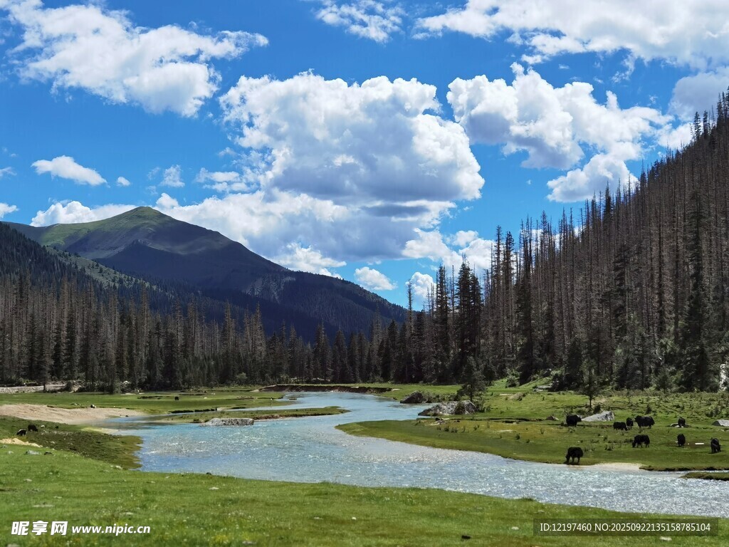 山间河畔美景