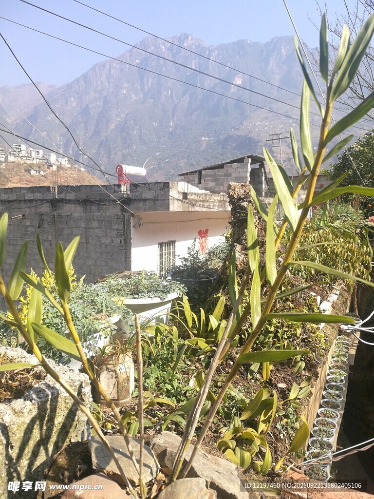 乡村绿植与远处山峦景色
