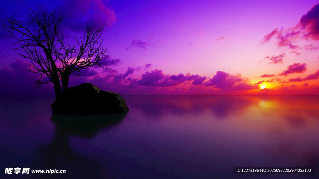 紫色梦幻湖畔日落美景
