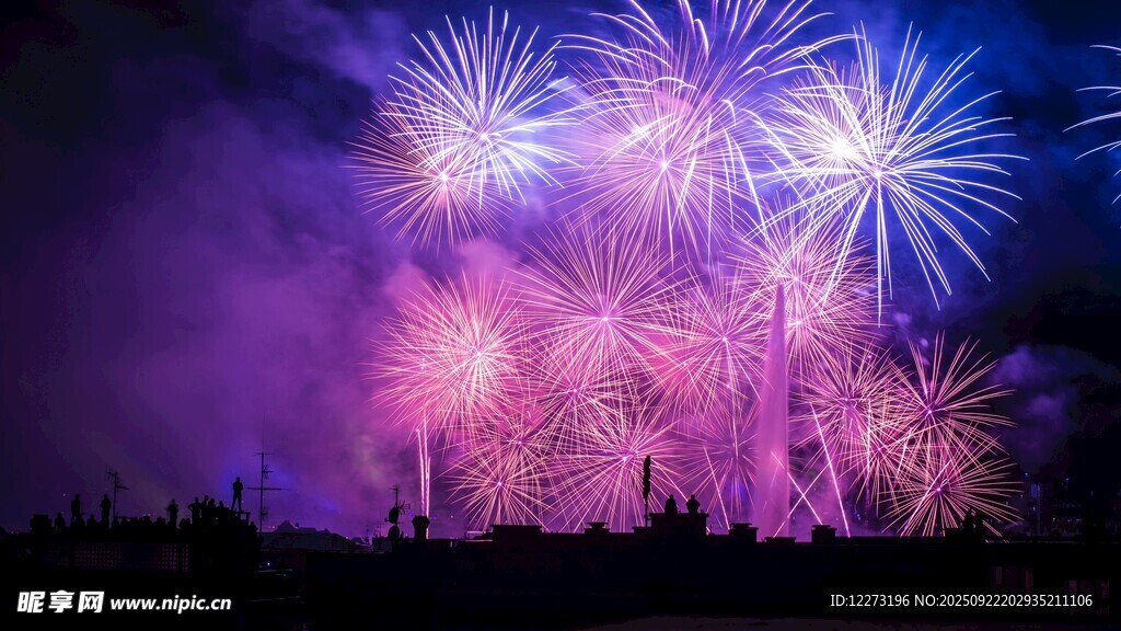 夜空中绚烂的烟花绽放
