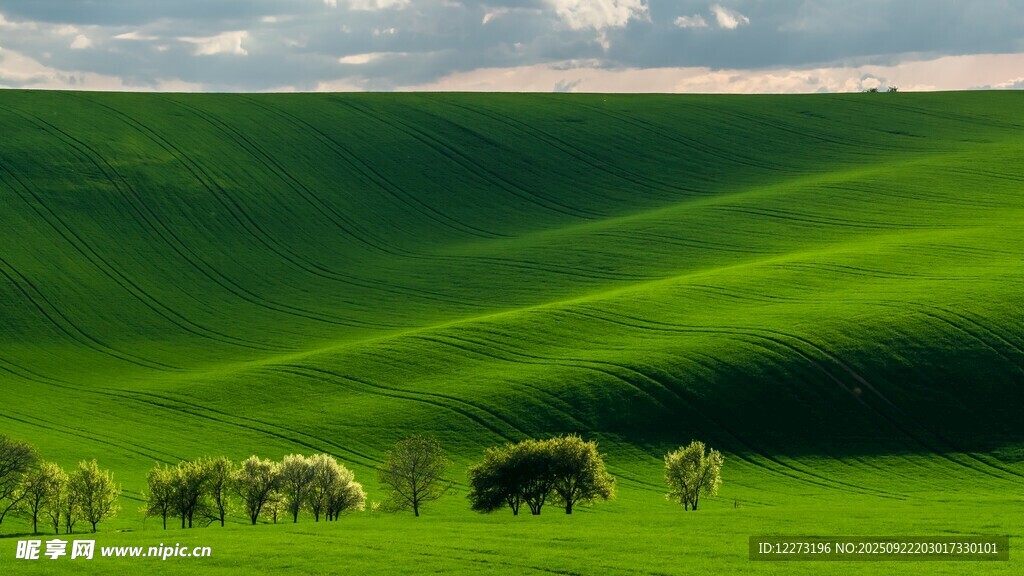草原牧景