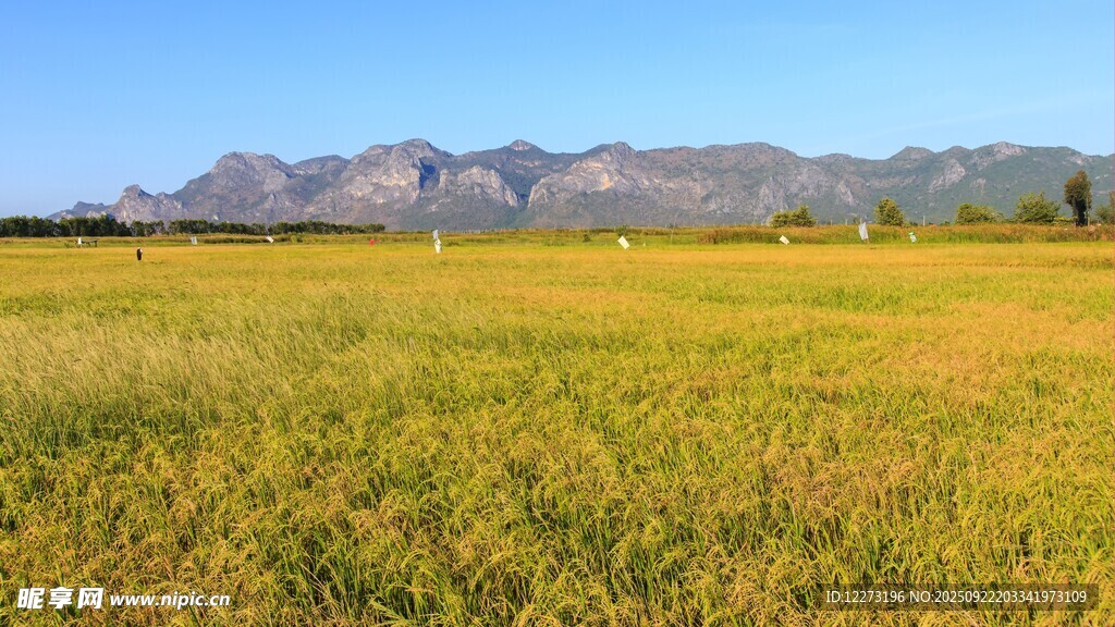 广袤草原与远处山峦