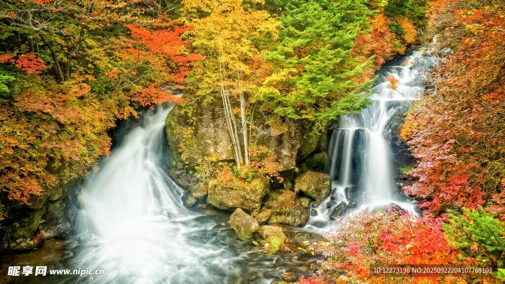 秋日山林中的飞瀑美景