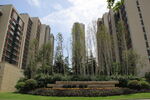 现代小区景观绿化美景