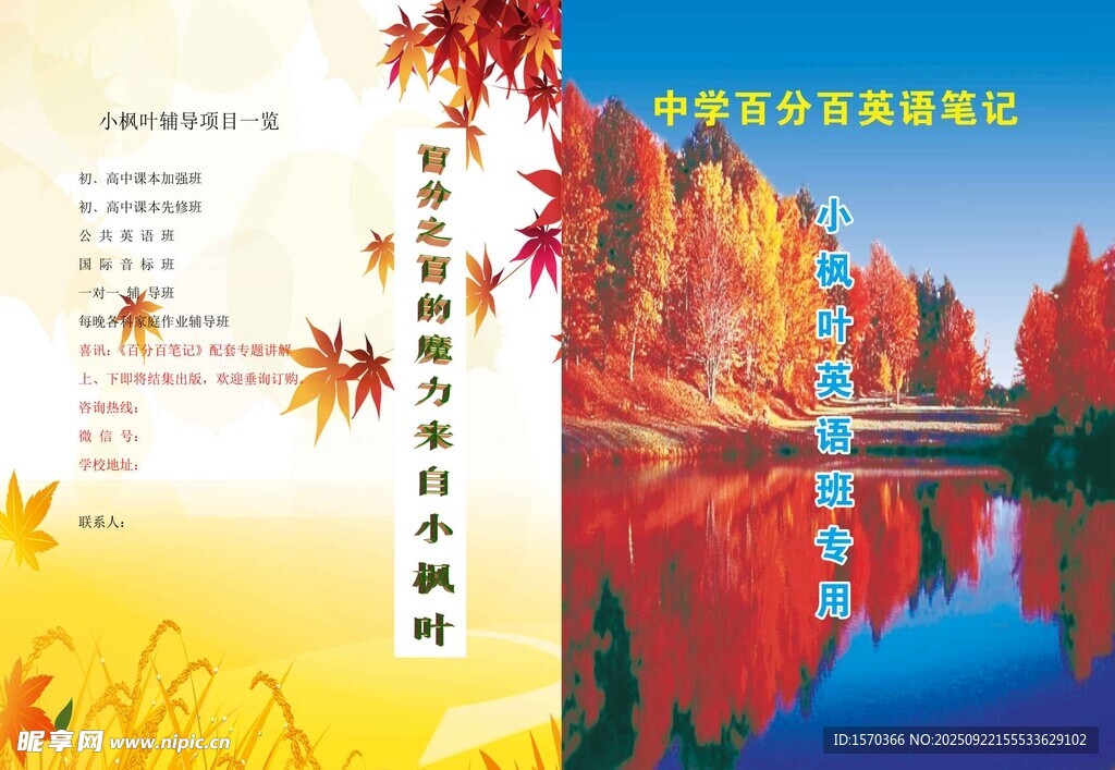 小枫叶封面