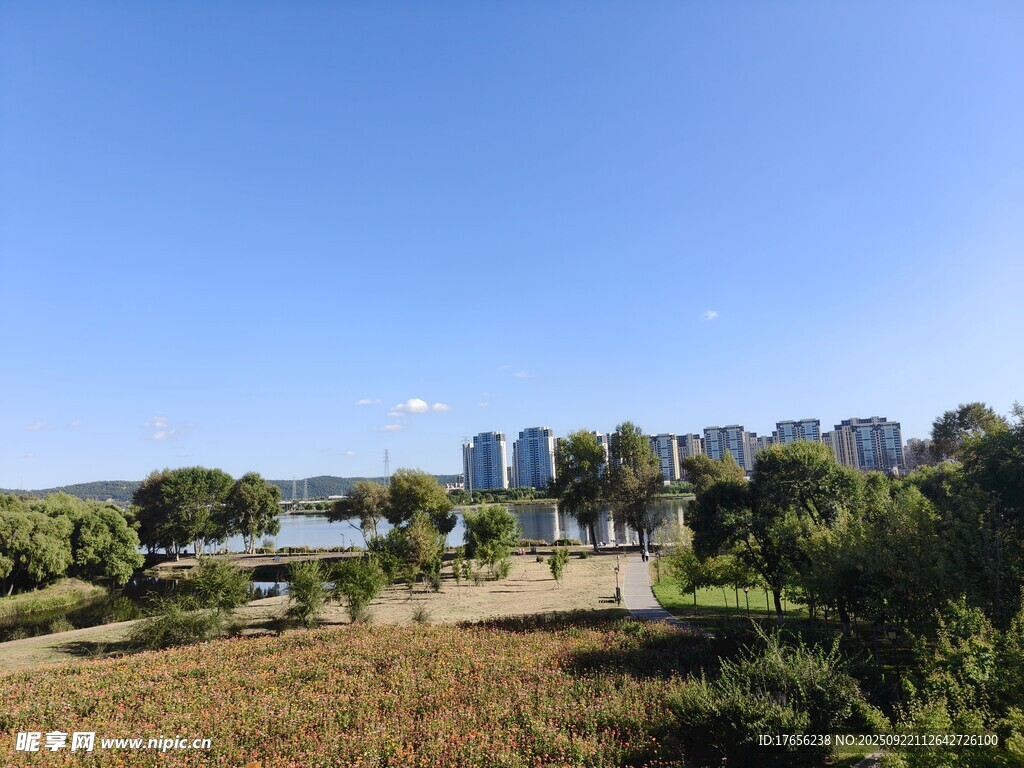 城市边的自然风景