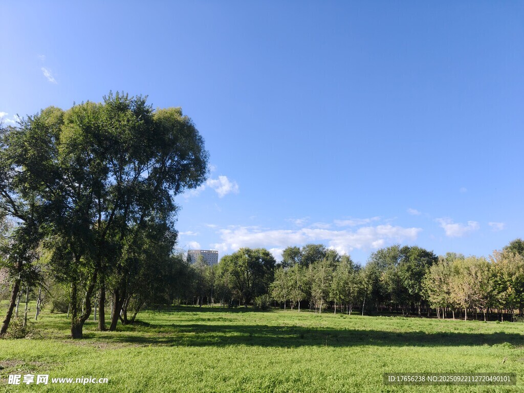 郊外绿野蓝天树木美景