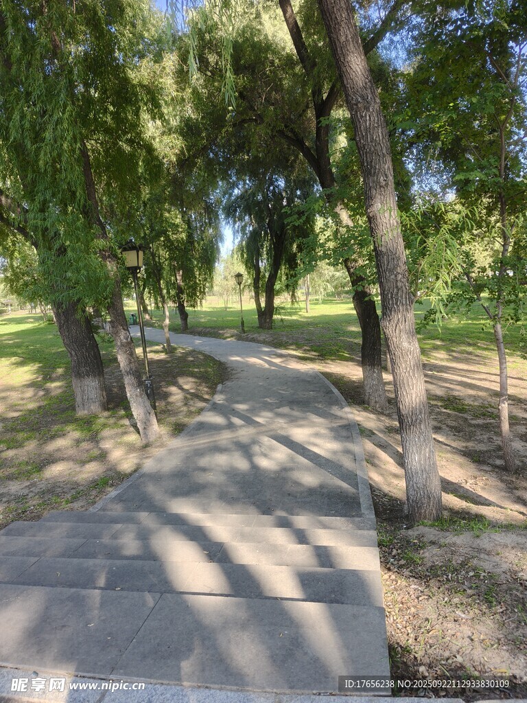林间石板小径