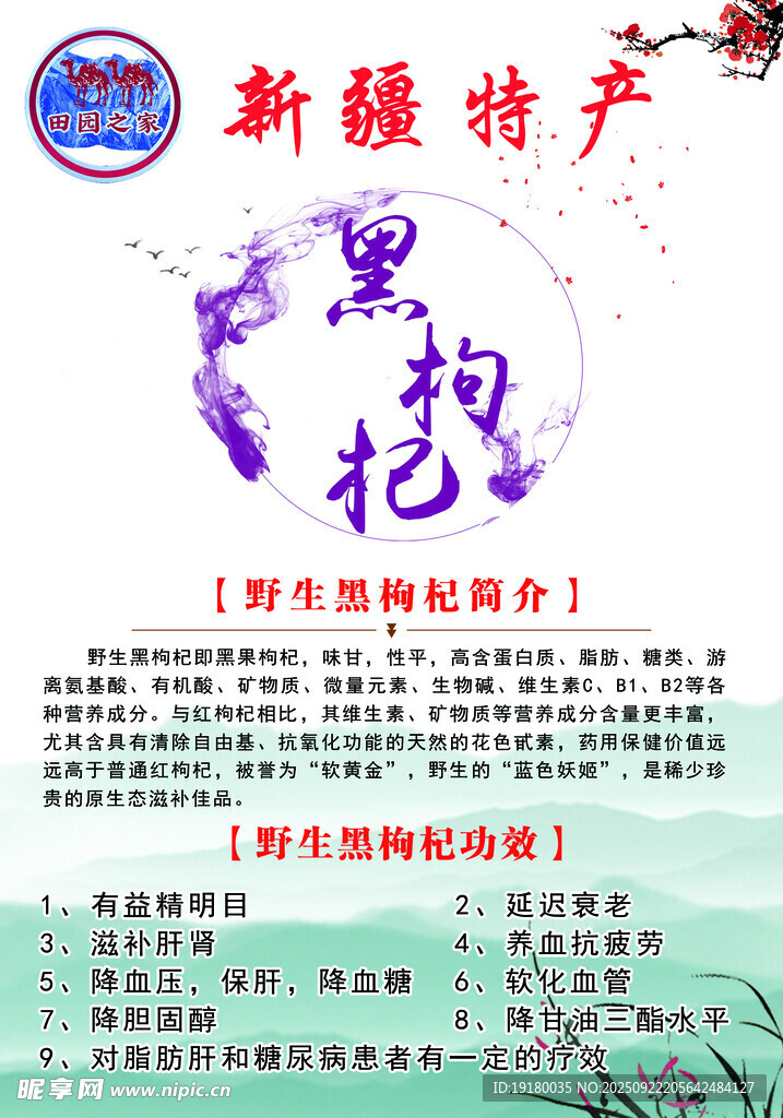 黑枸杞