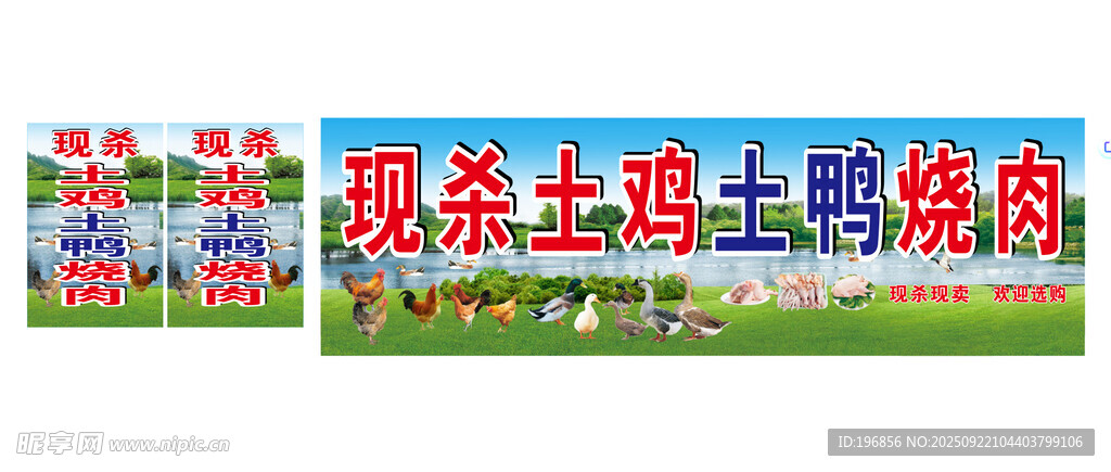 现杀土鸡土鸭