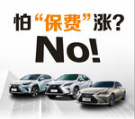 无惧保费上涨的多款汽车
