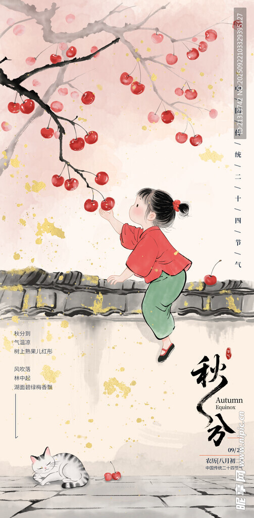 秋分国风插画