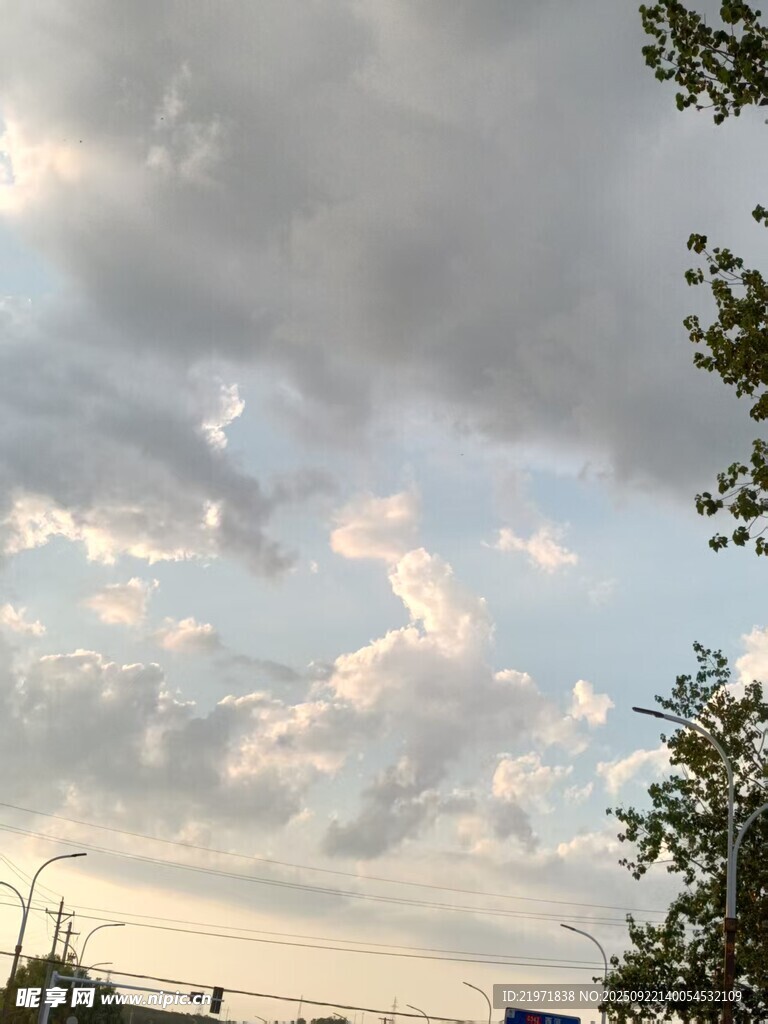 天空中的云朵与树木景观