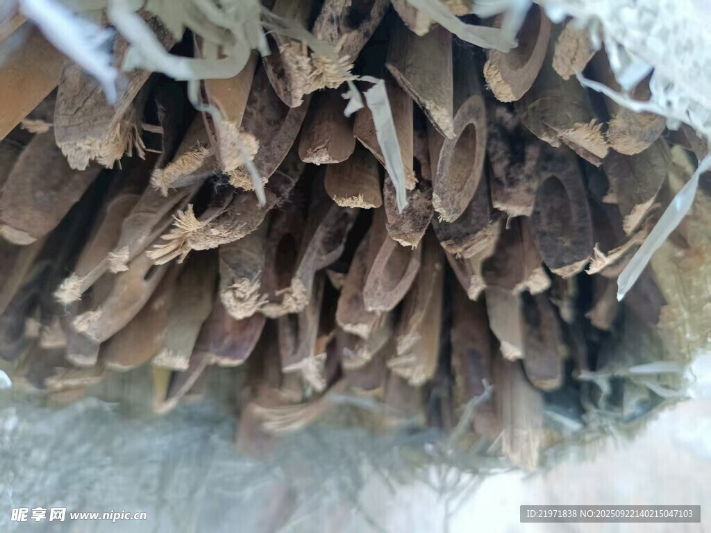 一堆棕色干蘑菇