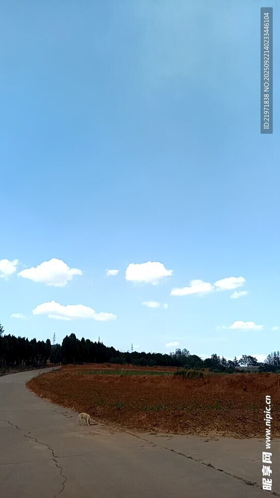 蜿蜒公路旁的开阔蓝天