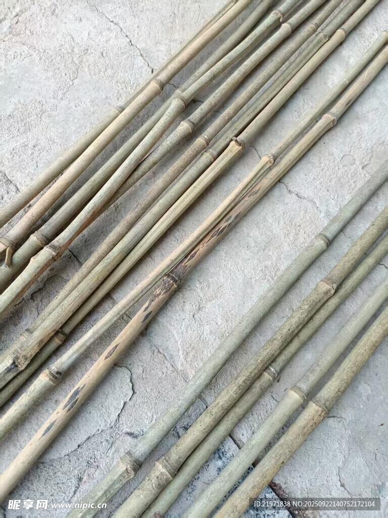 竹竿摆放整齐
