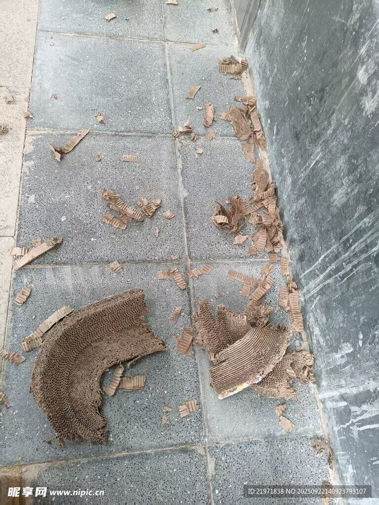 破烂的猫抓板