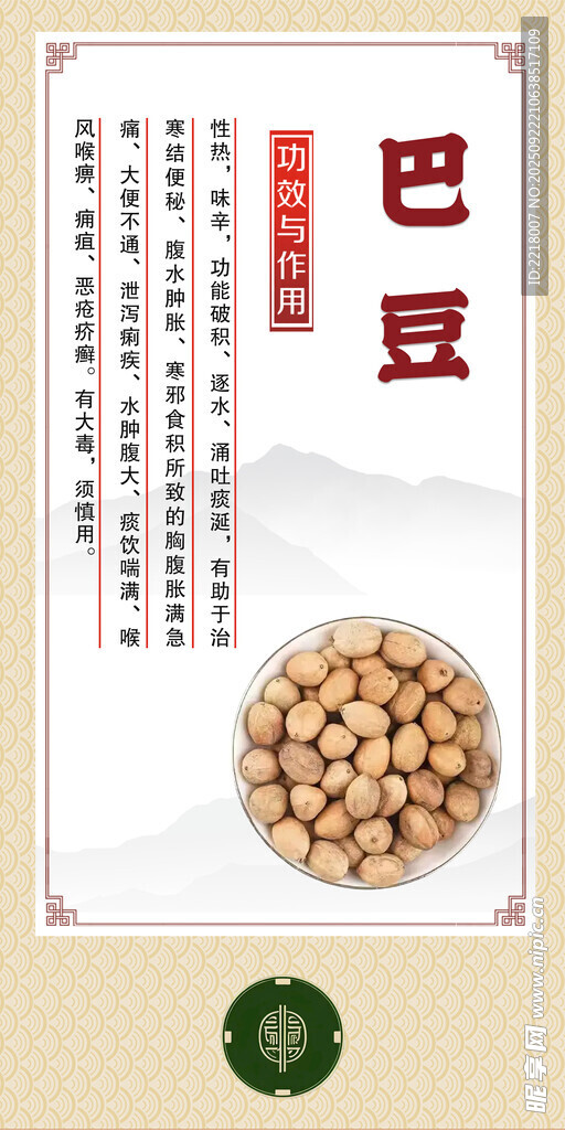 中药材 巴豆展示