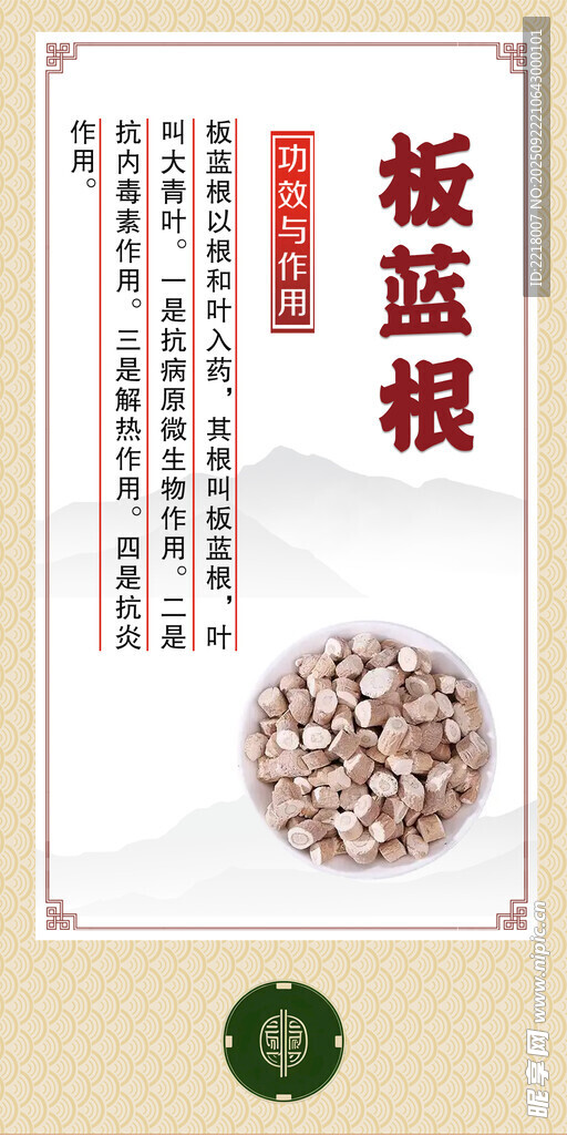 中药材 板蓝根展示