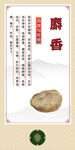 中药材 麝香展示图