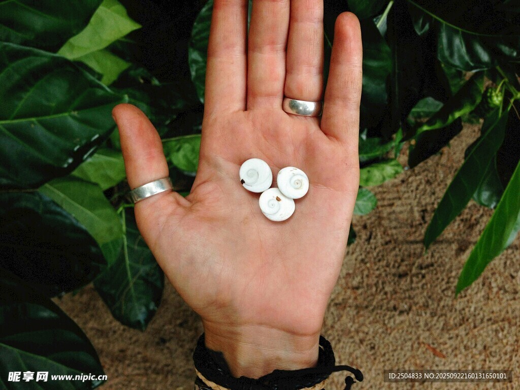 手掌上的白色圆形物体