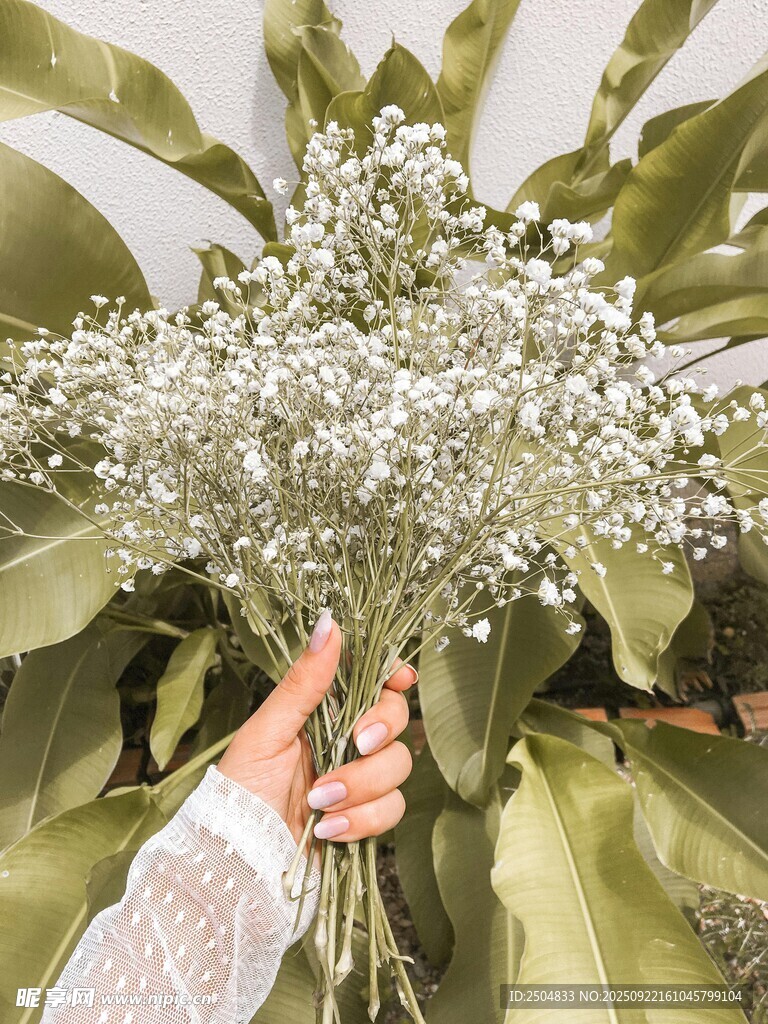 手捧白色小花束