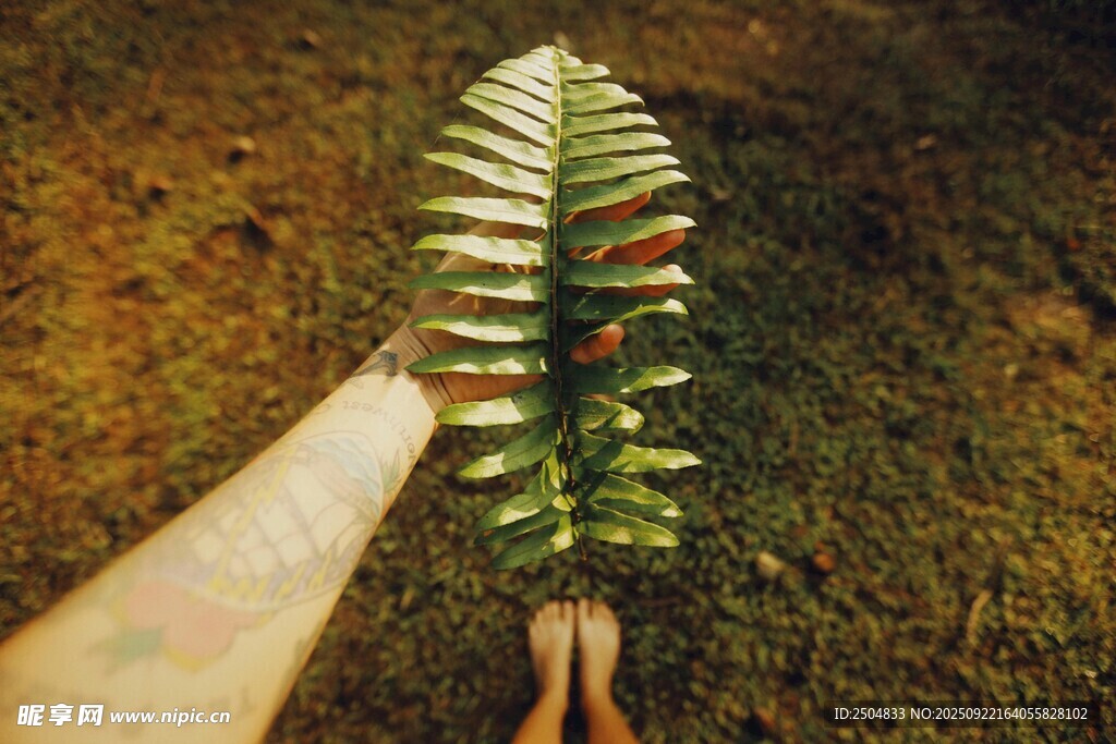 手捧奇特绿植造型小摆件