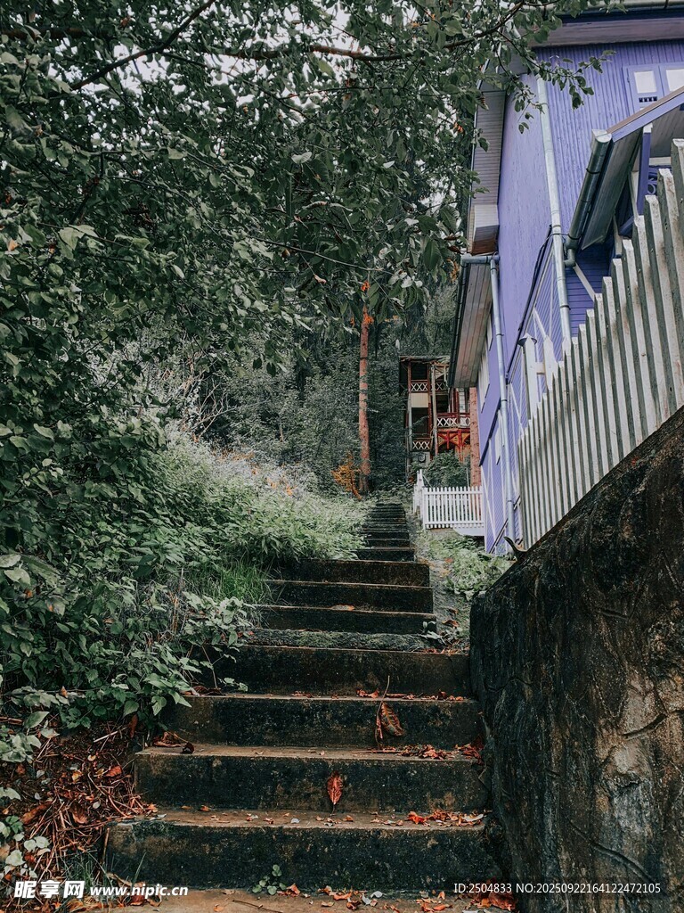 山间幽静石阶与小屋