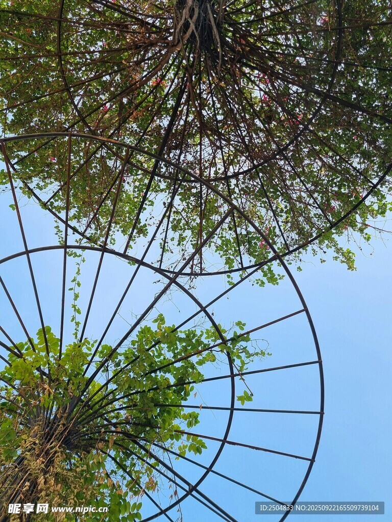 仰视铁艺绿植景观装置